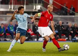 关于斯洛文尼亚客场负于奥地利，欧预赛遭遇失利的信息